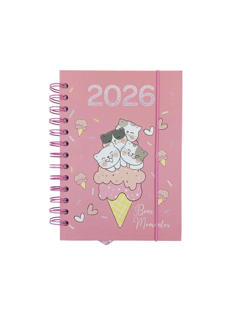 Agenda Gatinho 2026 Bons Momentos 13,7x18,7cm - Arco Iris