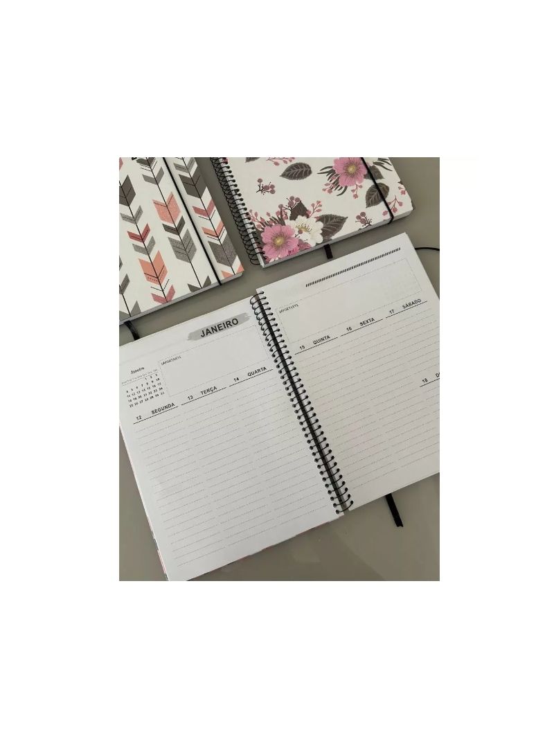 Agenda Planner Planejamento Anual 