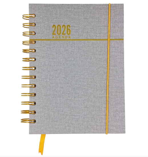 Agenda Espiral Cd 2026 168fls Cinza Interponte - Arco Iris