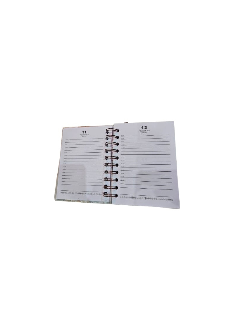 Agenda 2026 Espiral Diária Flores 168 folhas - Arco Iris